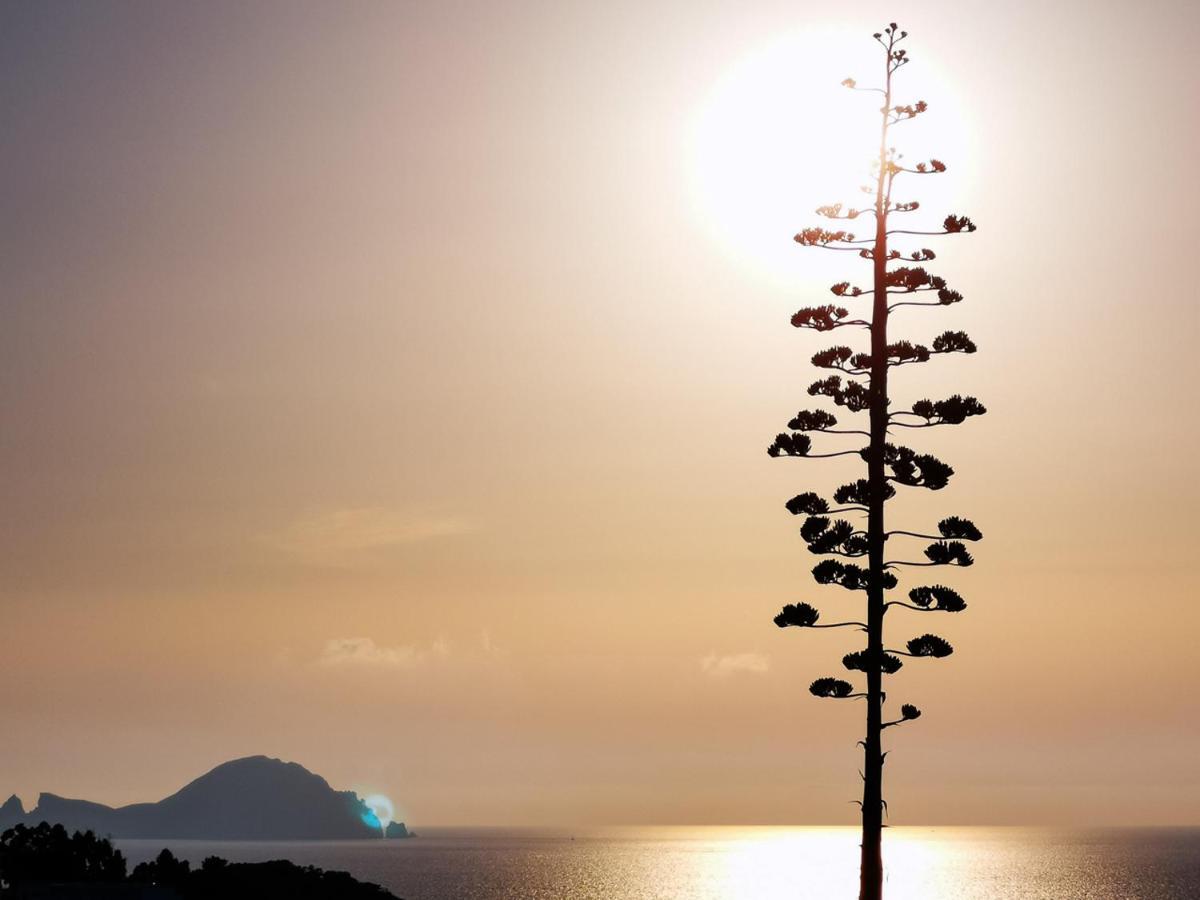 Villa La Casa Del Capitano Ponza Exterior foto